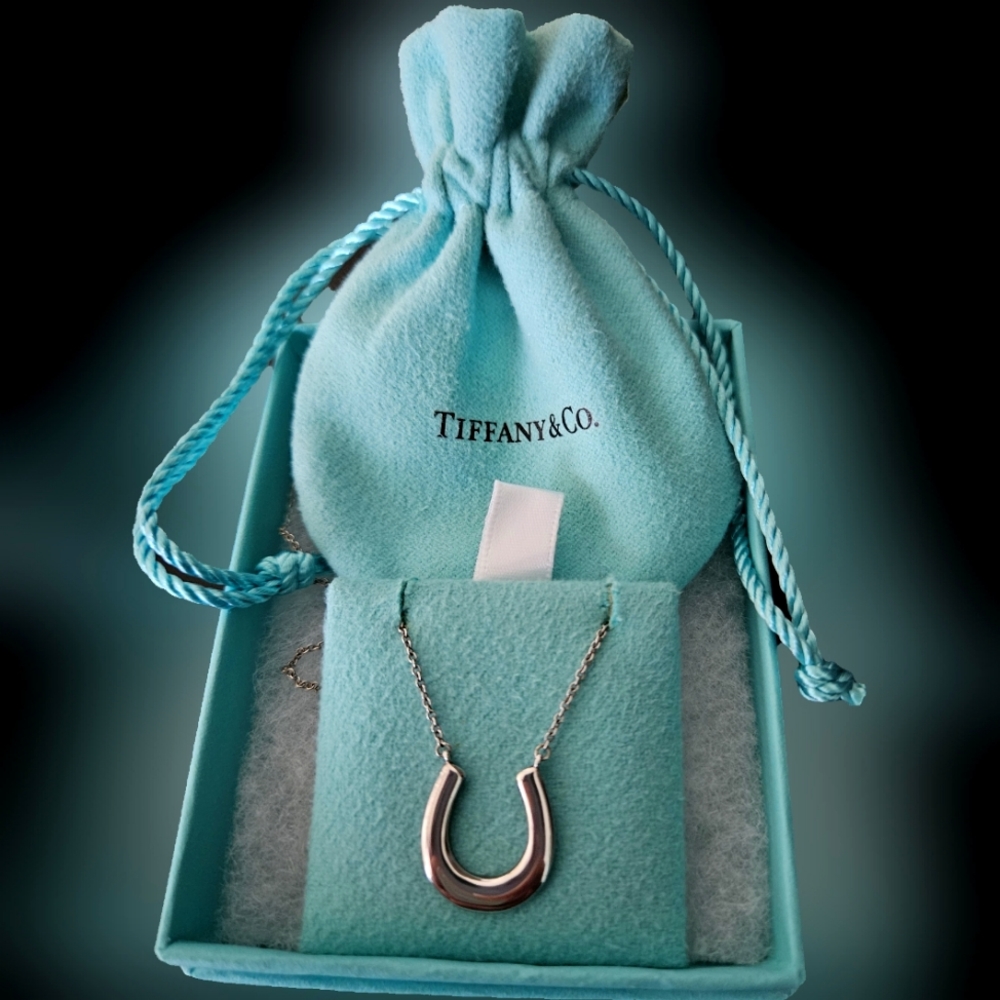 Tiffany & Co 1837 Horshoe Sterling Silver Pendant Necklace Size 18" Chain